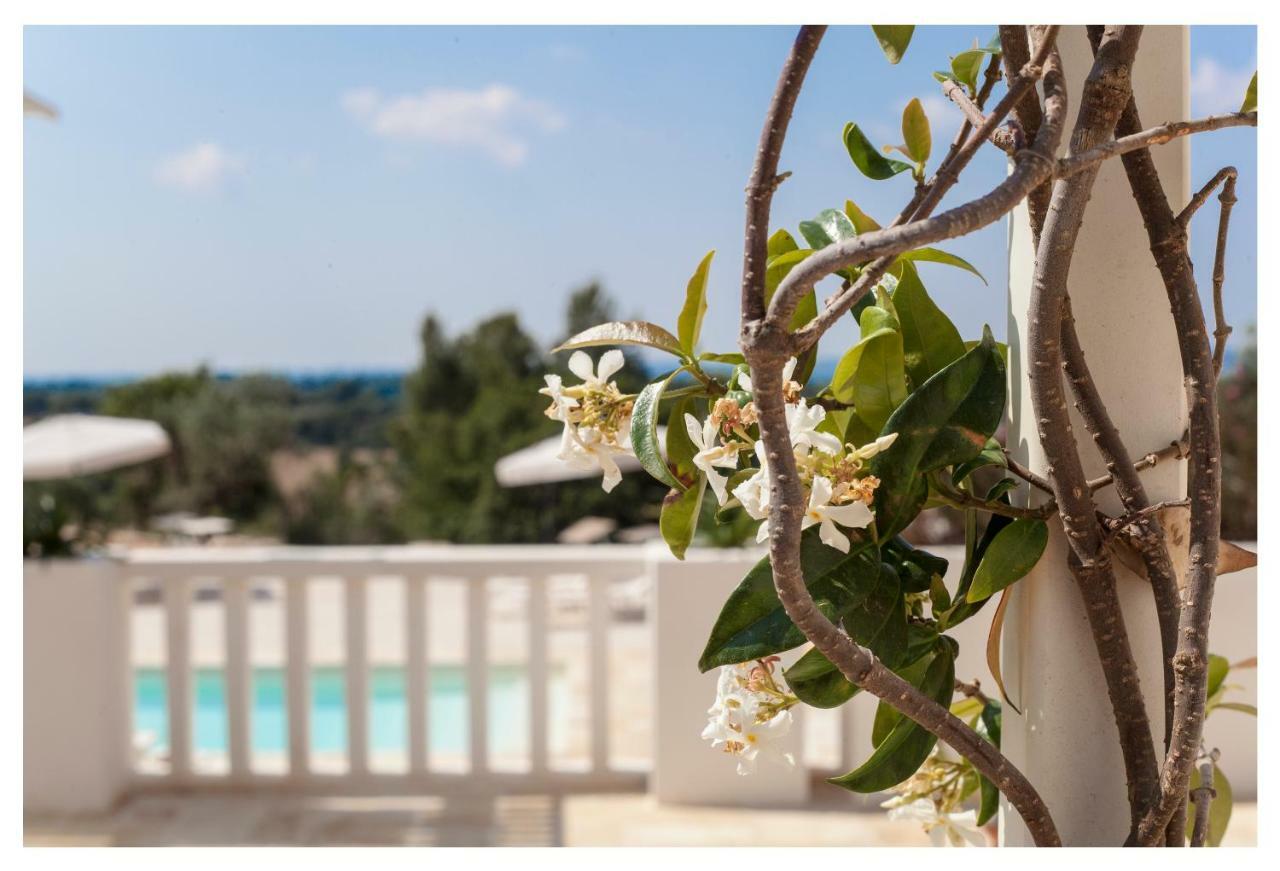 Marinelli Guest House تْشيستيرنِنو المظهر الخارجي الصورة